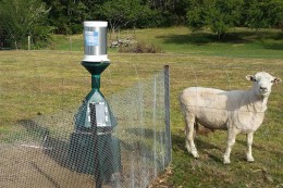 WAI Remote Rain Gauge